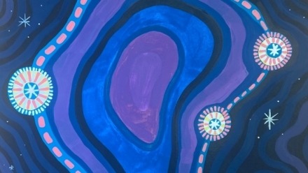 Election 22: Enrolment and participation in the seat of Lingiari (NT) SouthernCrossKrystalHurst