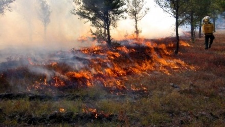 Call for more funding of Indigenous fire practices in our preparation for summer