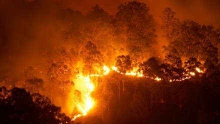 Strength from perpetual grief: how Aboriginal people experience the bushfire crisis