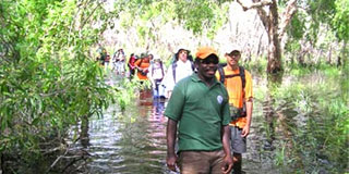 Garma: Visitors are led on a walk through Yolgnu country by Nalkuma Burarrwanga.